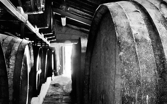 Barricas en bodega tradicional