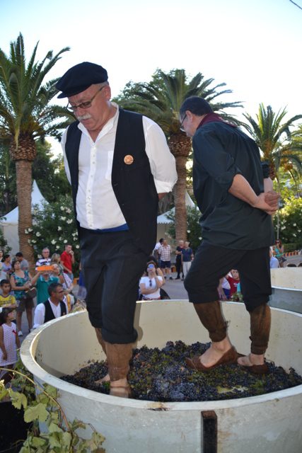 «Pisaores» en acción