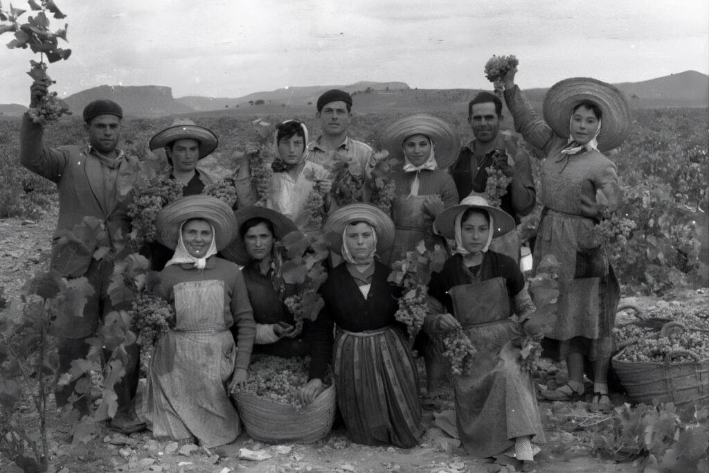 Vendimiadores en 1960. Archivo de Cayetano Herrero